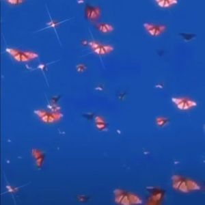 Meet your Posher, Ava